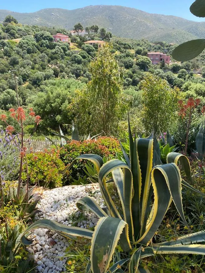Villa Bella Salmagi - Surya Sardinia Holidays & Yoga Capitana Italia